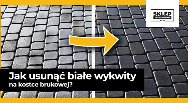 Jak usunąć biały nalot na kostce brukowej - skuteczne metody i porady