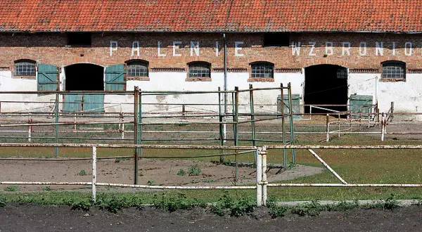 Kadyny stadnina koni - odkryj fascynującą historię i atrakcje