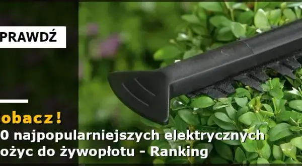 Nożyce do żywopłotu jakie wybrać – uniknij najczęstszych błędów