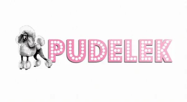 Z kim jest Heidi Klum? Odkryj jej związek z Tomem Kaulitzem