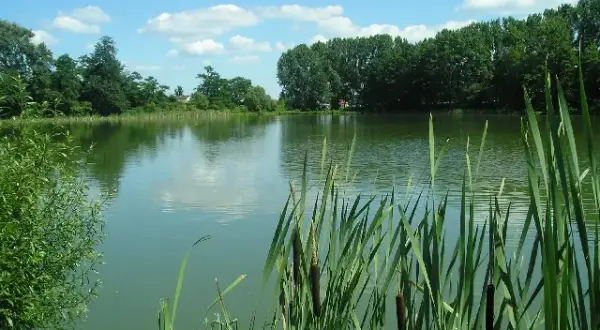 Idealne łowisko w Dawidach - poznaj najlepsze miejsca na ryby