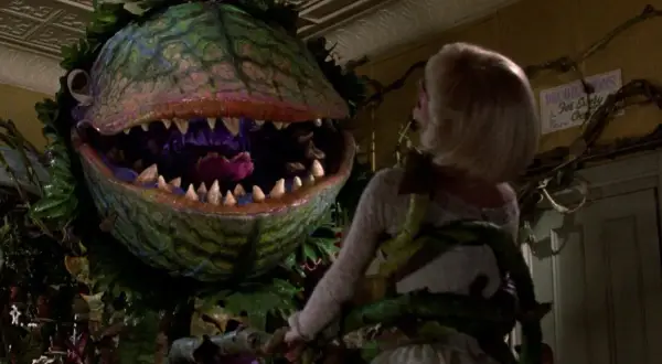 Sklepik z horrorami: odkryj mroczne sekrety kultowego filmu