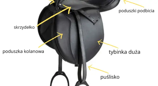 Jak wygląda siodło? Budowa, rodzaje i zastosowanie w jeździectwie