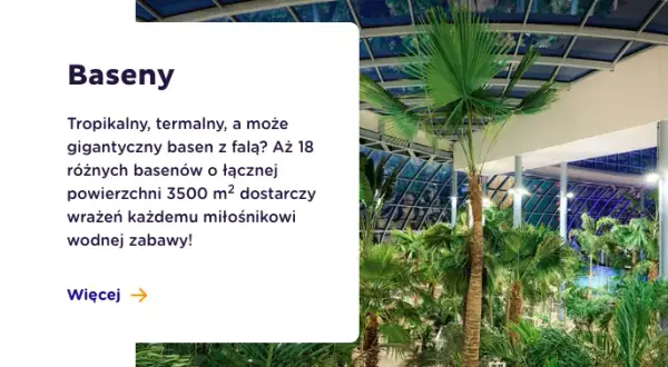 Ile kosztowało Suntago? Sprawdź ceny biletów i promocje teraz