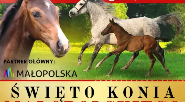 Klikowa stadnina: Poznaj wyjątkowe konie i ich historię