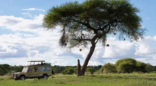 Tanzania gdzie leży? Odkryj jej położenie w Afryce Wschodniej