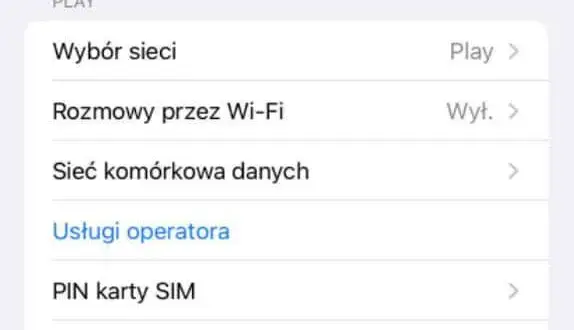 Jak włączyć roaming w Play i uniknąć wysokich kosztów za granicą