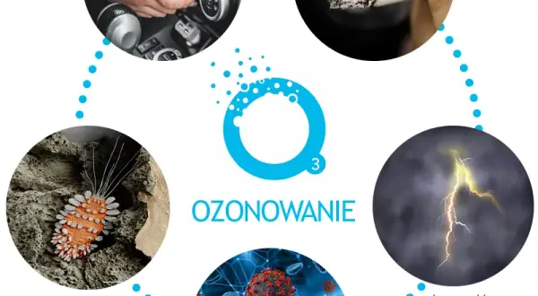 Ozonowanie w firmie: Jak wybrać właściwy kod PKD dla usług dezynfekcji?