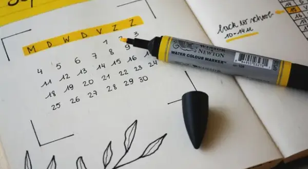 Kiedy sadzić sosny, aby uniknąć błędów i zapewnić ich wzrost