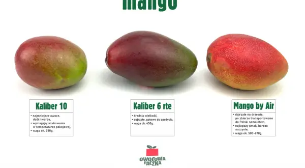 Ile kcal ma mango? Poznaj prawdziwą wartość energetyczną owocu