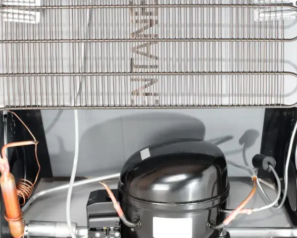 Back of a refrigerator showing the compressor and condenser coils. Learn how to clean refrigerator coils for better efficiency.