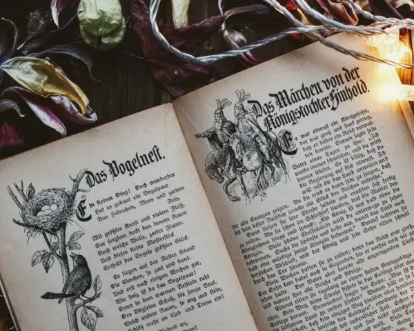 Otwarta księga z baśniami braci Grimm, ilustracje i tekst w języku niemieckim, otoczona suszonymi liśćmi i lampkami.