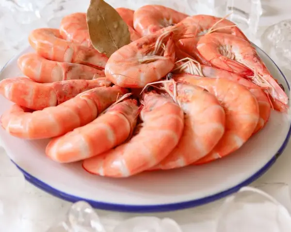 Un plato blanco con borde azul lleno de langostinos cocidos, adornado con una hoja de laurel y rodeado de hielo.