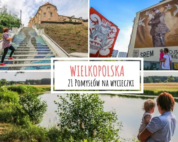 Wielkopolska: co zwiedzić? Odkryj skarby regionu z ekspertem!