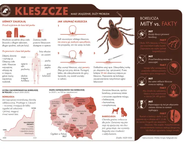 Co je kleszcz? Tylko krew! Kto jest jego ofiarą w Polsce?