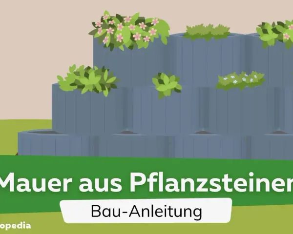 Graue Pflanzsteine bilden eine gestufte Mauer, bepflanzt mit grünen Blättern und bunten Blüten. Tolle Ideen für Ihre Mauer aus Pflanzsteinen.