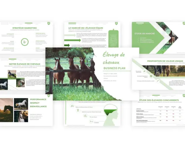 Présentation d'un plan d'affaires pour un élevage de chevaux, incluant des analyses de marché, des stratégies marketing et une proposition de valeur unique.