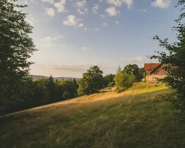 Słoneczny stok z domkiem w lesie. Zastanawiasz się, ile kosztuje ar działki budowlanej w takim miejscu?