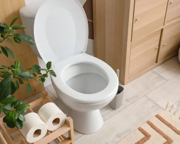 Toilettes blanches avec couvercle ouvert, rouleaux de papier toilette sur un support en bois, plante verte et meuble de rangement en bois. La largeur du WC est standard.