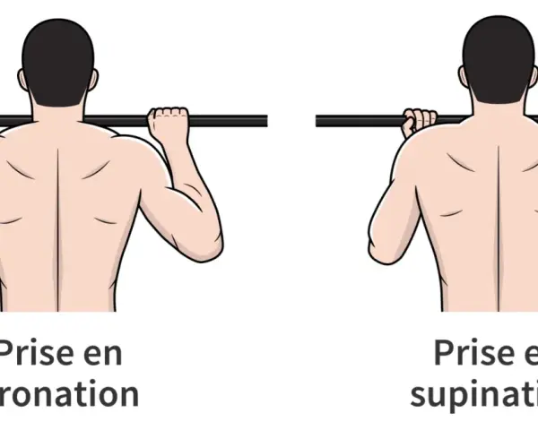 Comparaison de la prise en pronation et de la prise en supination pour un exercice de traction.