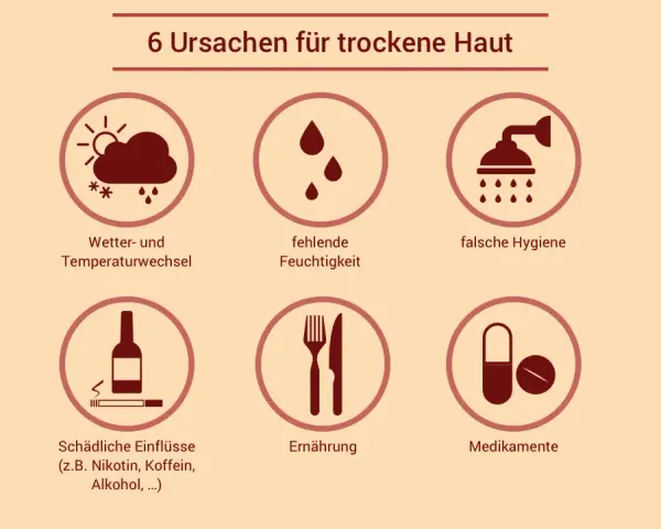 Ursachen und Lösungen für trockene Gesichtshaut effektiv verstehen