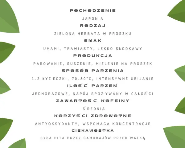 Matcha: Jak wymówić poprawnie? Właściwości i parzenie
