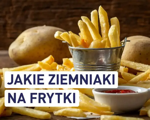 Złociste frytki w metalowym wiaderku i surowe ziemniaki na drewnianym stole. Pytanie brzmi: jakie ziemniaki na frytki?