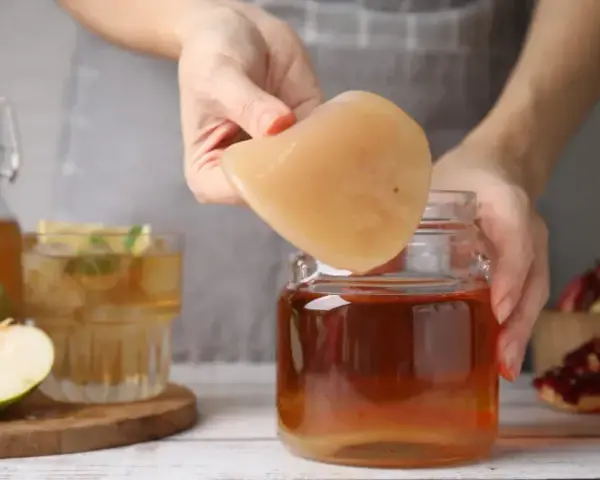 Kombucha: Jak wyhodować domową kulturę SCOBY krok po kroku