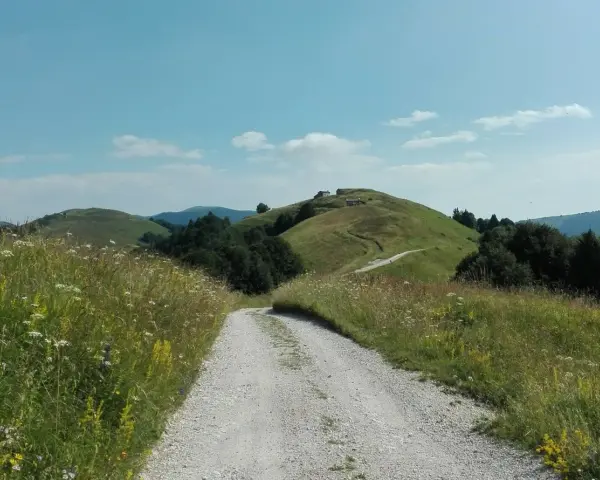 Sentiero sterrato sale verso la malga Garda, tra prati fioriti e dolci colline verdi sotto un cielo azzurro.