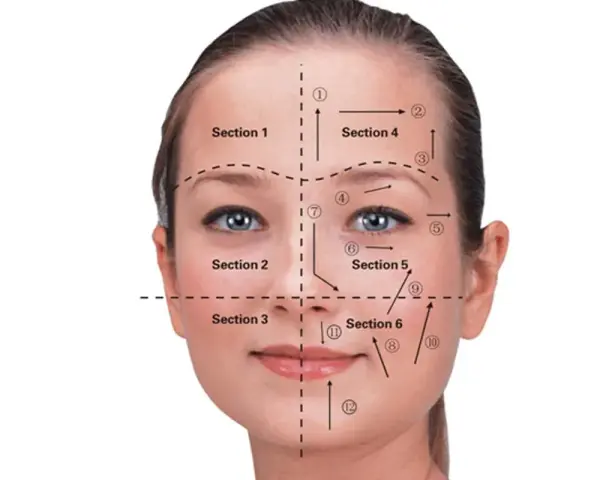 Guía de secciones y flechas para el drenaje linfático facial.