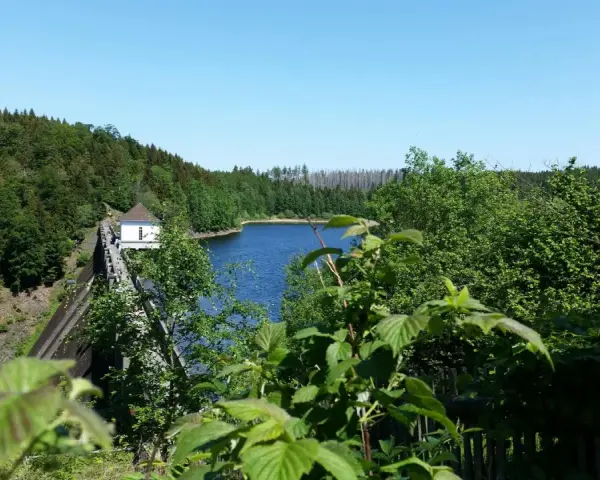 Idyllische Badeseen in Sachsen-Anhalt: Ein Stausee mit Damm und kleinem Haus, umgeben von grünen Wäldern unter blauem Himmel.