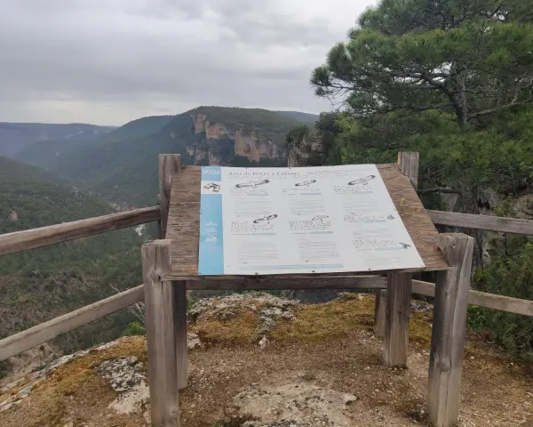 Mirador en el **zaorejas alto tajo**, con panel informativo sobre aves de hoces y cañones. Paisaje de montañas verdes y cielo nublado.