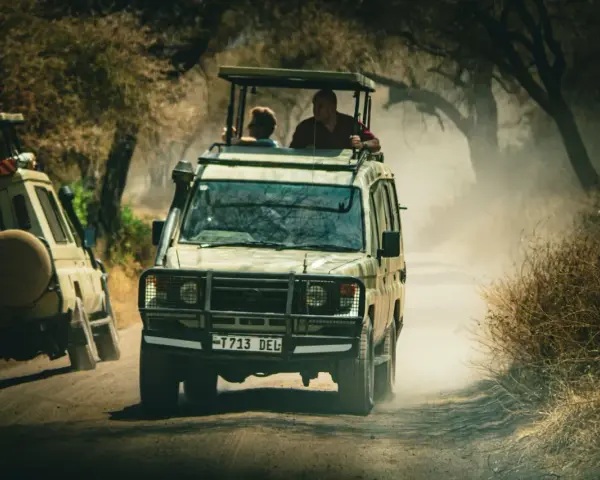 Dwa samochody terenowe jadące w pyle podczas tanzania safari. Ludzie stoją w otwartych dachach, obserwując dziką przyrodę.