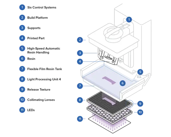 Diagram of a DLP printing system, showing the resin vat, build platform, and light source. This technology enables precise 3D object creation.