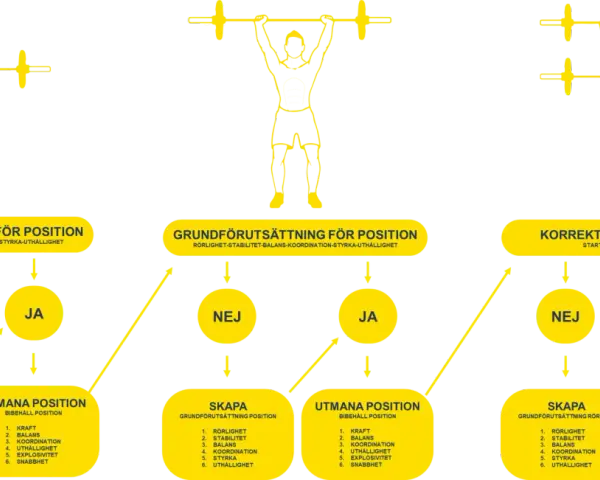 Diagram som visar hur man bygger dynamisk styrka genom att utvärdera grundförutsättningar och utmana positioner.