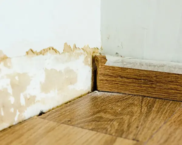 Dégâts sur un mur blanc dus à une infiltration d'eau, avec des traces de moisissure et de peinture écaillée près du sol et de la plinthe en bois.