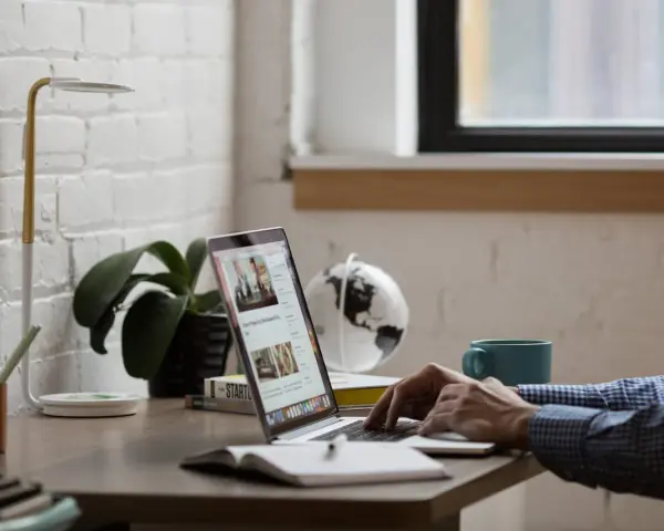Person tippt auf Laptop, daneben stehen Lampe, Pflanze, Globus und Tasse.