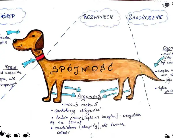 Schemat rozprawki w formie psa: głowa to wstęp, tułów to rozwinięcie ze spójnością i argumentami, a ogon to zakończenie.