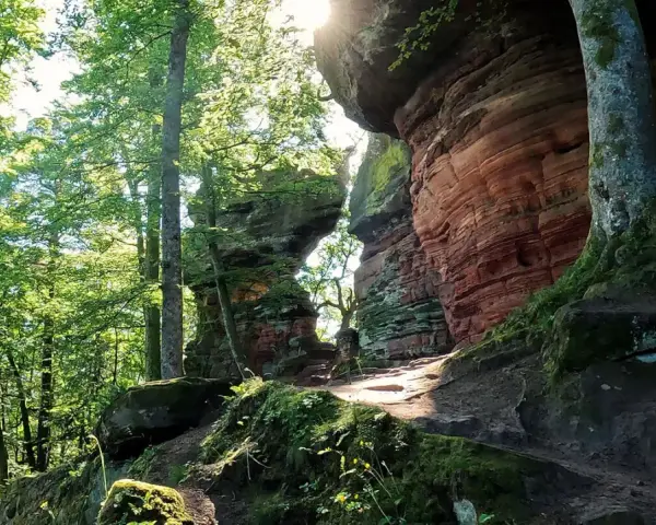 Sonnenstrahlen brechen durch das Blätterdach auf einen Pfad, der zu den roten Sandsteinfelsen führt. Eine perfekte Kulisse für eine altschlossfelsen wanderung.