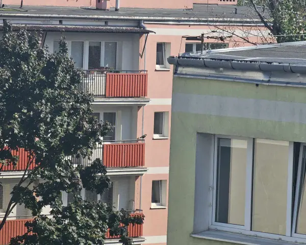 Ptak na balkonie bloku. Czy nowe przepisy o balkonach i tarasach podniosą opłaty na fundusz remontowy?