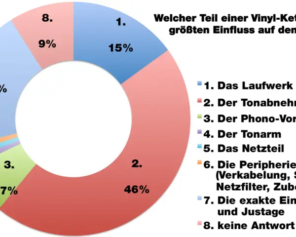 Kreisdiagramm zeigt, was bedeutet Musik für Vinyl-Liebhaber: Der Tonabnehmer (46%) und die exakte Einstellung (20%) sind am wichtigsten.