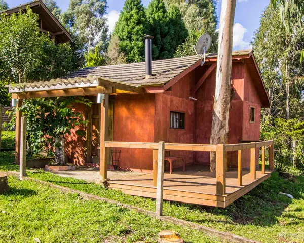 Il progetto di una piccola casa di campagna, con tetto spiovente, camino e un albero che attraversa la struttura.