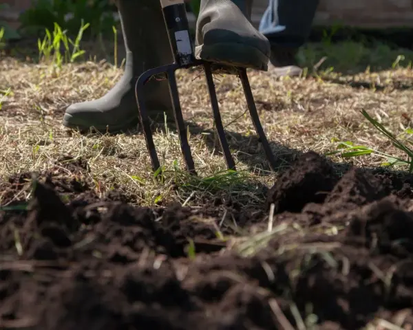 Osoba w gumowcach spulchnia widoczną na pierwszym planie glebę gliniastą za pomocą wideł.