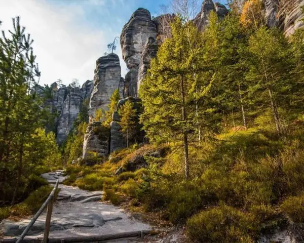 Kamienista ścieżka prowadzi przez skalne miasto w Czechach, otoczone gęstym lasem iglastym i wysokimi, strzelistymi formacjami skalnymi.