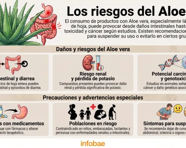 Infografía sobre los riesgos del Aloe vera, incluyendo contraindicaciones del aloe vera en la piel, daño intestinal, riesgo renal y potencial carcinogénico.