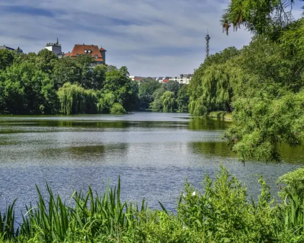Grüne Ufer und ein ruhiger See am Lietzensee Berlin. Im Hintergrund ragen Gebäude und ein Fernsehturm auf.