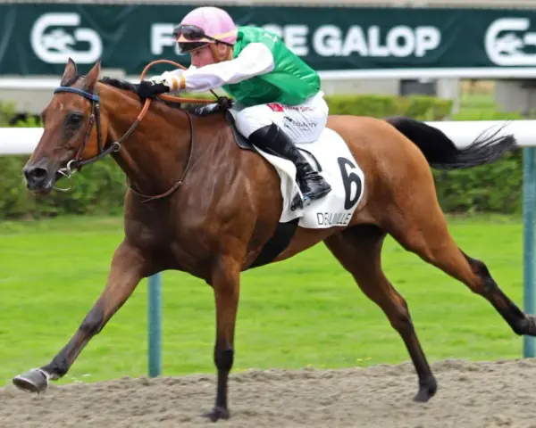 Un jockey en tenue verte et rose monte un cheval brun portant le numéro 6, "DEUVILLE", sur la piste. Le dp poney est en pleine course.