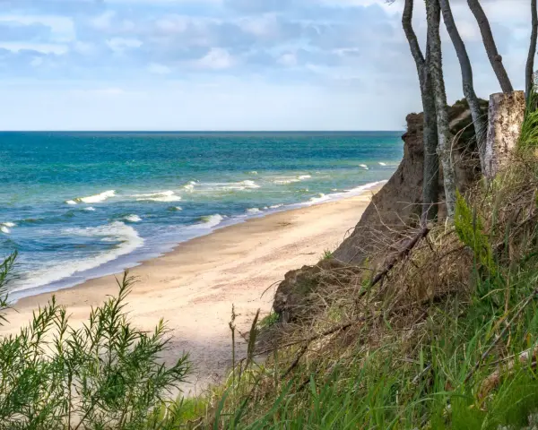 Wyspa Sobieszewska: piaszczysta plaża, turkusowe morze i strome klify porośnięte drzewami.