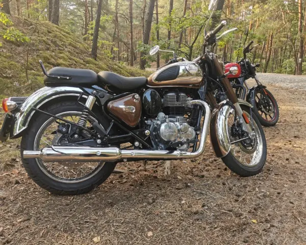 Royal Enfield Classic 350 dane techniczne: brązowy motocykl w lesie, obok czerwony. Klasyka i moc.