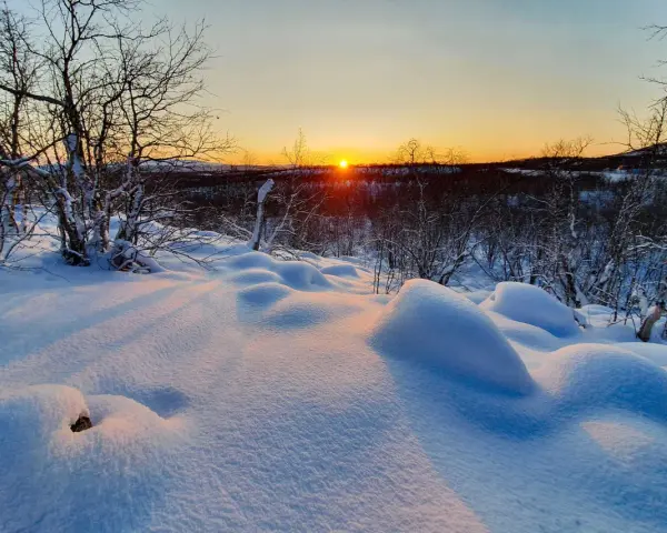 Snöklädda kullar och träd i solnedgångens gyllene ljus. En bilduppgift vinter som fångar den magiska stämningen i norra Sverige.